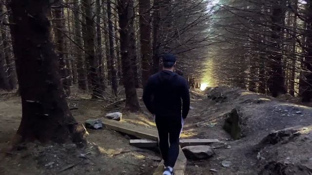Wicklow Way Boardwalk At Ballinastoe County Wicklow IRELAND