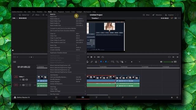 Export In/out Range Davinci Resolve 18 смотреть онлайн