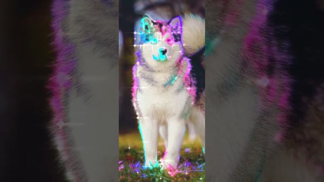 10 октября 2022 г. смотреть онлайн