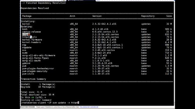 Ansible Automation - OS Patching and Upgrade on RHEL 6 and 7 смотреть онлайн