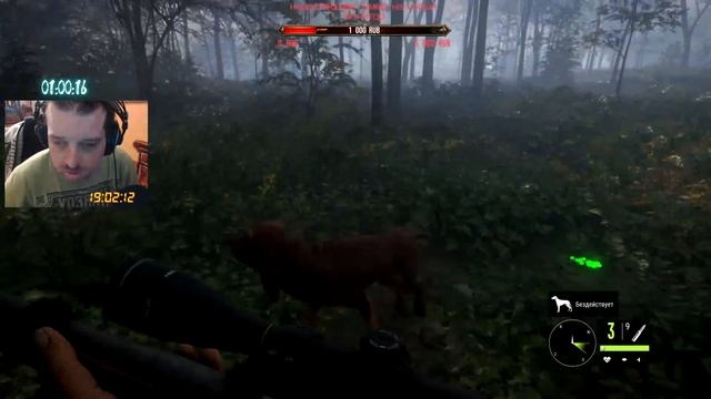 LIVE STREAM #hunter call of the wild хиршфельден смотреть онлайн