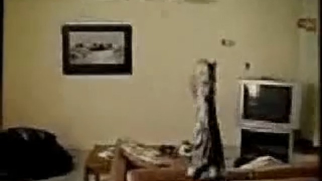 Жесть, бедный кошак! смотреть онлайн