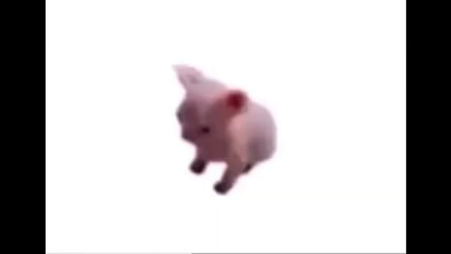 !!!!!КОТ ТАНЦУЕТ ПОД ФОНК!!!!! ШОК? YouTube — Яндекс Браузер 2023 05 01 20 22 33 смотреть онлайн