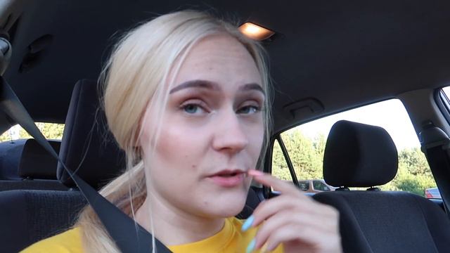 Kelionė į Harmony Park l DailyVlog 1 dalis смотреть онлайн