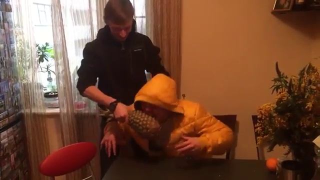 Черепаха расправилась с ананасом смотреть онлайн