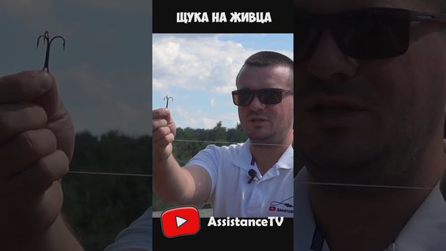 Самоделка для ловли ЩУКИ на ЖИВЦА! Рыбалка на живца с кружками смотреть онлайн
