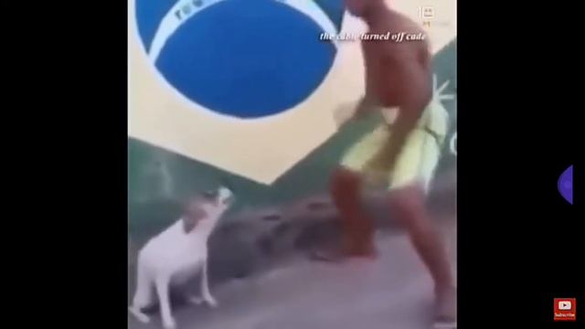МЕМ ТАНЦУЮЩАЯ СОБАКА🐶😂 смотреть онлайн
