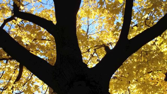 Éva / Litanie (Franz Schubert) смотреть онлайн