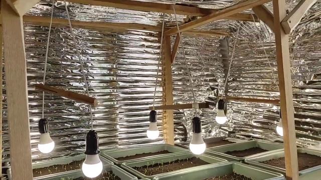 Маленький парничек для рассады в доме! Освещение для рассады... смотреть онлайн