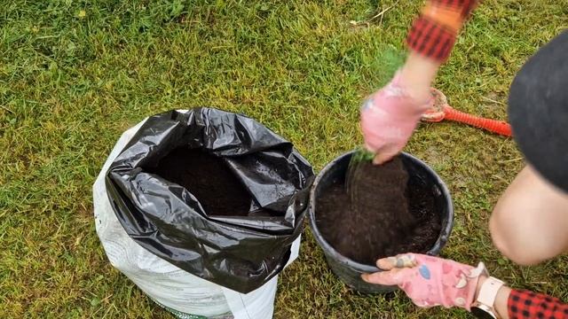 Огород в контейнерах из семян | Дачный эксперимент смотреть онлайн