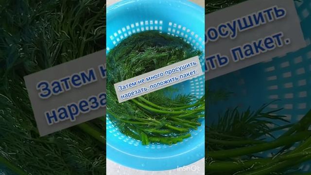 ЗАМОРАЖИВАЮ ЗЕЛЕНЬ | Как сохранить зелень свежей