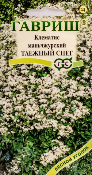 Выращивание клематиса из семян поэтапно. Пол года в одном видео.