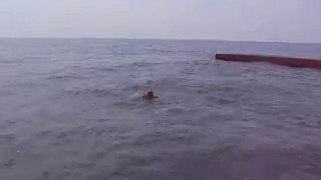Дагомыс 2009 смотреть онлайн