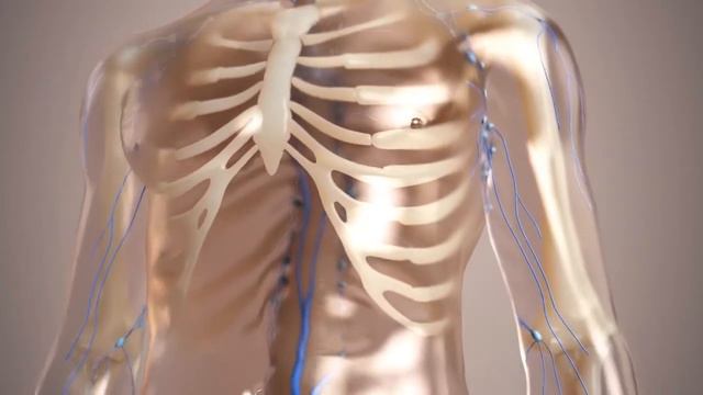 Биология моноклональных антител