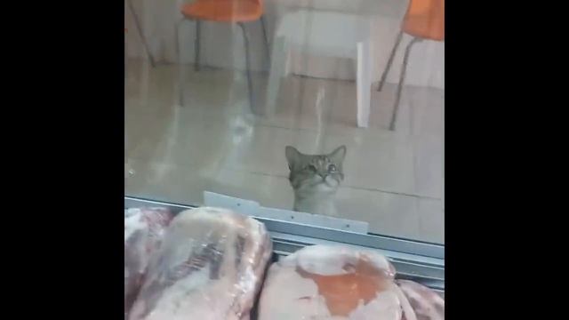 А можно мне чуть-чуть мяса? смотреть онлайн