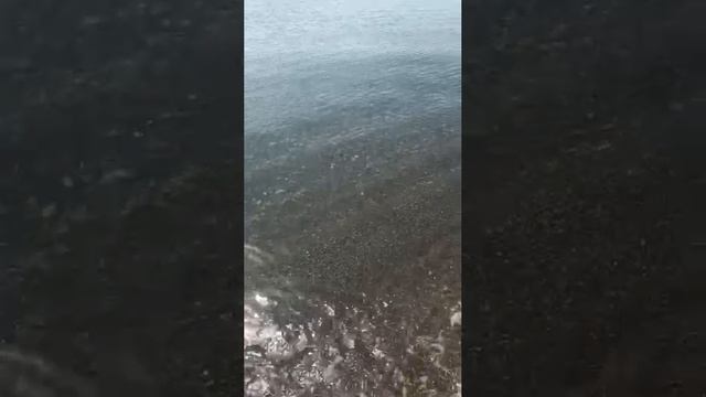 Архипо-Осиповка 16 марта 2024 года 🌿 Центральный пляж 🏖️ и Весеннее море 🌊 Видео: @l.e.gust смотреть онлайн