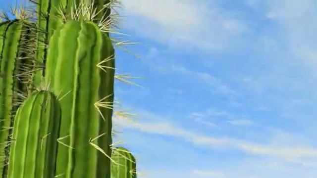 cactus смотреть онлайн