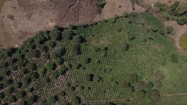 COEX 4 [Dron] смотреть онлайн