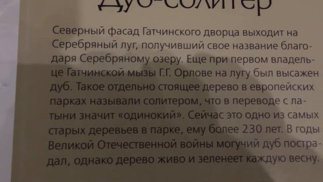 Гатчинский дворец в подсветке. ...Дуб–солитер... 14.11.2016, 17:43 смотреть онлайн