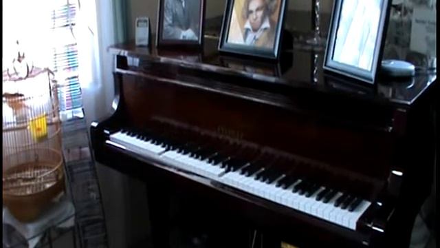 Camile Saint-Saens The Swan смотреть онлайн