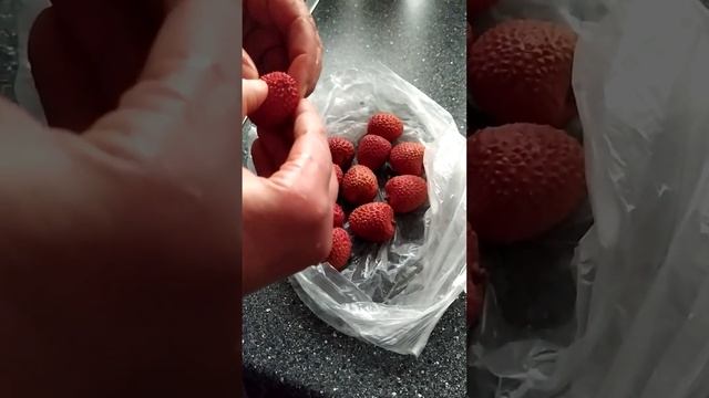 19.12.22.Первый раз пробую фрукт личи? смотреть онлайн