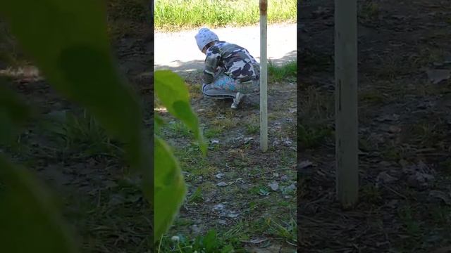 Раскопки майских жуков смотреть онлайн