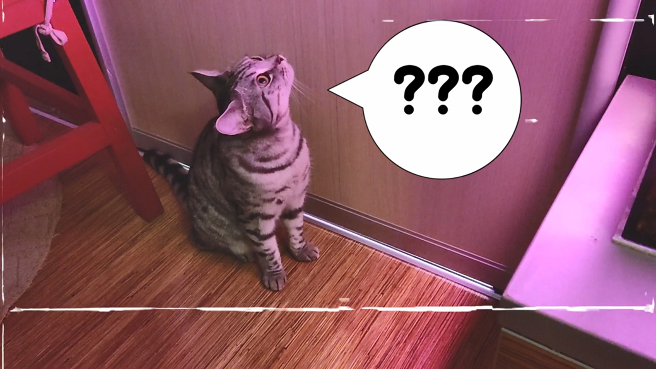 Пусть тешится дитя, лишь бы не плакало.