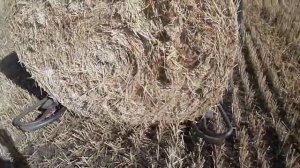 Самодельный перевозчик круглых тюков (рулонов)