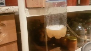 брожение, карбонизация пива в кегах под давлением