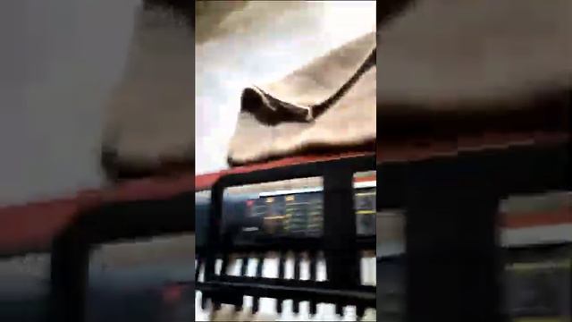 Yamaha PSR F52 смотреть онлайн