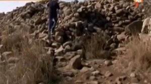 День космических историй.Выследить циклопа