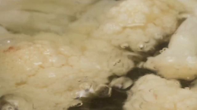 Dejas cocinar 3 min los calabacines y ya tienes el plato listo смотреть онлайн