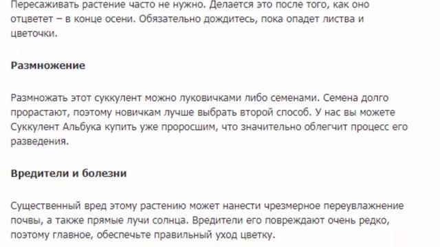 Альбука Спиралис смотреть онлайн