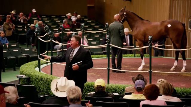 Keeneland September Sale Week 1 Recap смотреть онлайн
