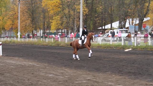 КЮР Dressage Kur Freestyle To Music