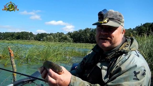 Рыбалка на поплавок.О ТАКОМ КАРАСЕ - МЕЧТАЕТ КАЖДЫЙ ! смотреть онлайн