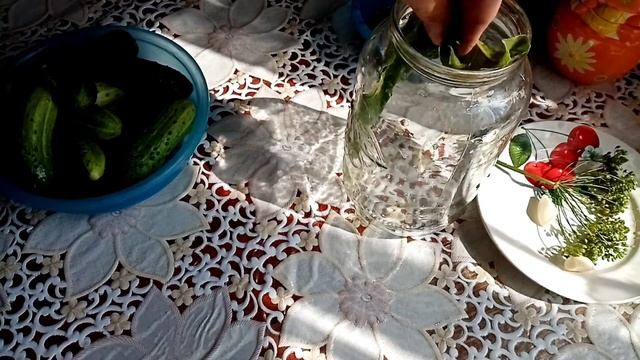 Подкормка огурцов! Приготовила настой золы. смотреть онлайн