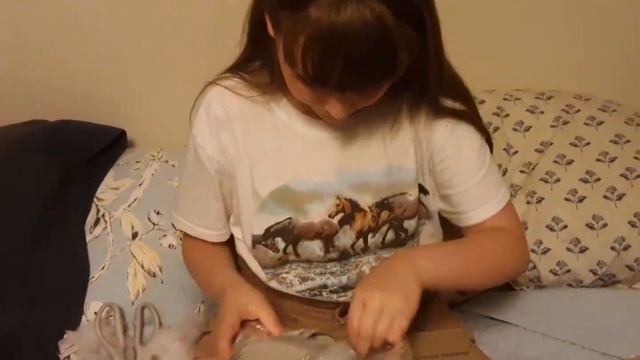 Houseplant Unboxing 4 New Plants... Hoyas, Dischidia, & Syngonium