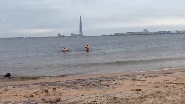 Моржи Василеостровского района Санкт-Петербург