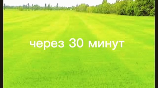 Учу готовить шашлык ?? смотреть онлайн
