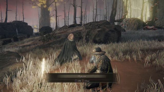 Elden Ring Round Table смотреть онлайн