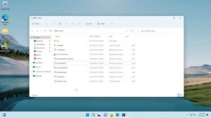 How To Install WINDOWS MEDIA CENTER On Windows 11!