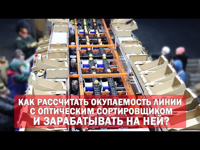 Как рассчитать окупаемость линии с оптическим сортировщиком фруктов и зарабатывать на ней смотреть онлайн