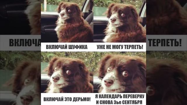 Завтра — осень смотреть онлайн