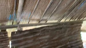 Традиционная водяная мельница