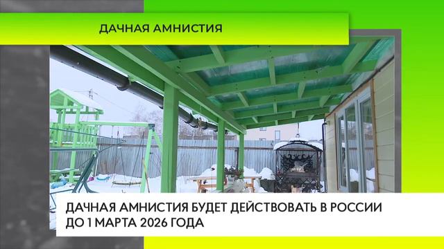 Дачная амнистия смотреть онлайн
