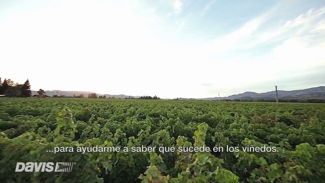Vantage Pro2 - Ejemplo de Uso en Viñedos смотреть онлайн