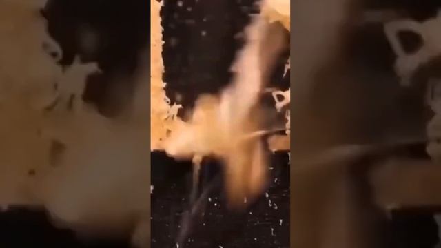 ЛАЙФХАКИ ДЛЯ ДОМА И ДЛЯ СТРОИТЕЛЬСТВА #лайфхак #лайфхаки #длядома #стройка #интересно смотреть онлайн