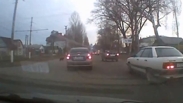 Животным надо тоже уступать дорогу смотреть онлайн