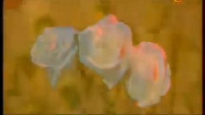 Биография. Ференц Лист